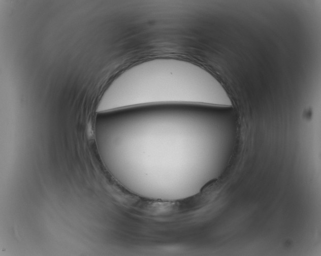 X0000112510089200908171058