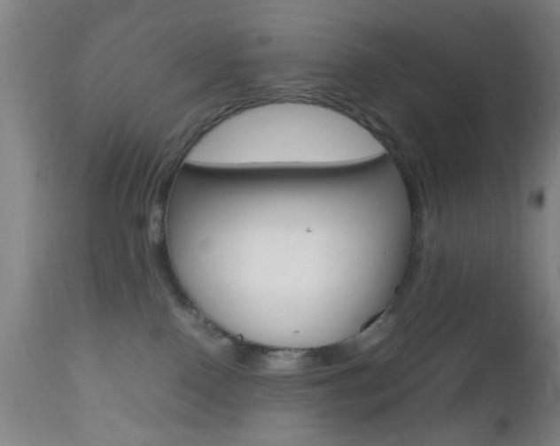 X0000112510090200908171058