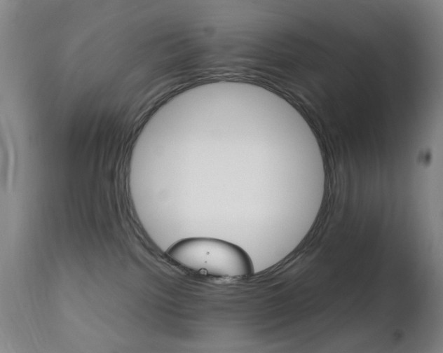 X0000112510092200908171058