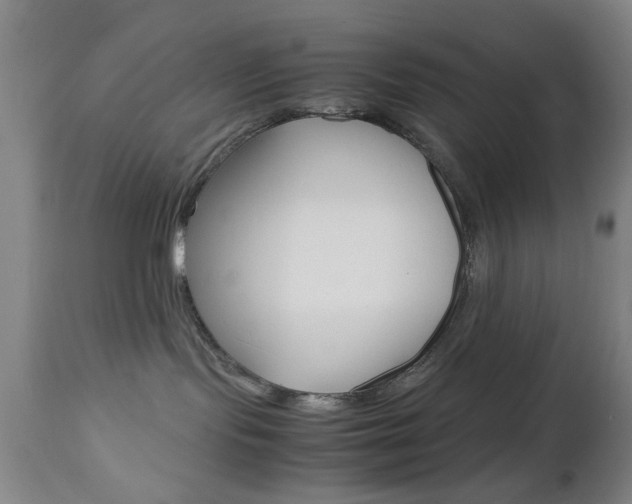 X0000112510095200908171058