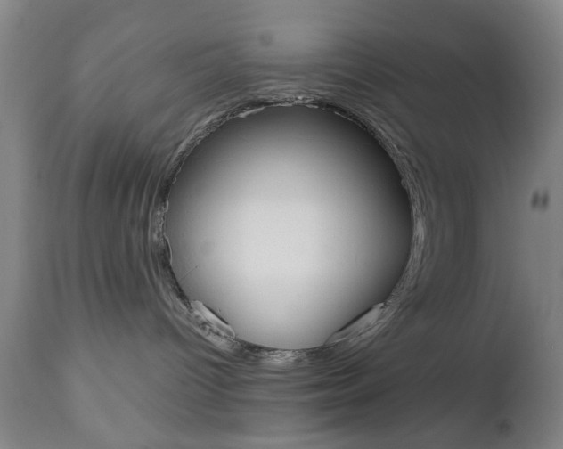 X0000112510096200908171058