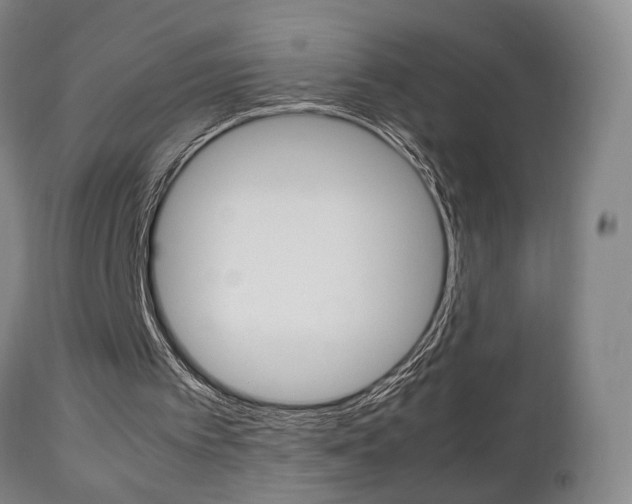 X0000112510097200908171058