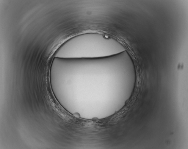 X0000112510098200908171058