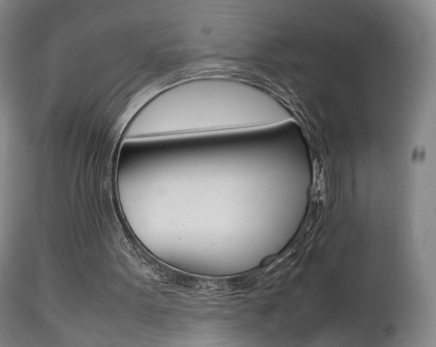 X0000112510099200908171058