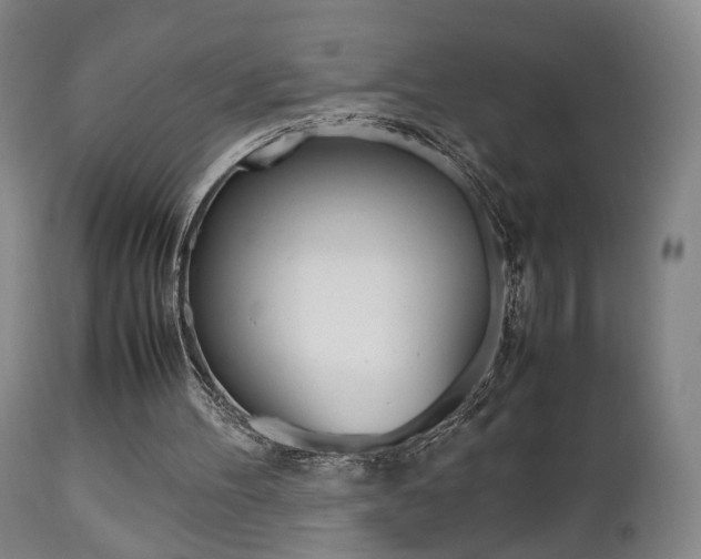 X0000112510100200908171058