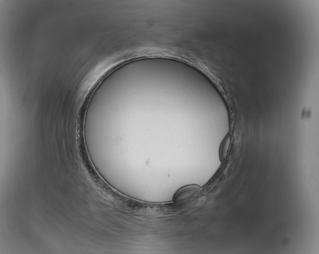 X0000112510103200908171058