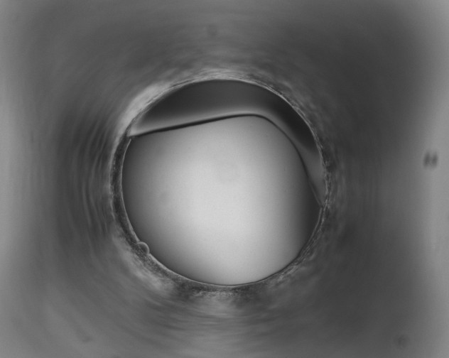 X0000112510104200908171058