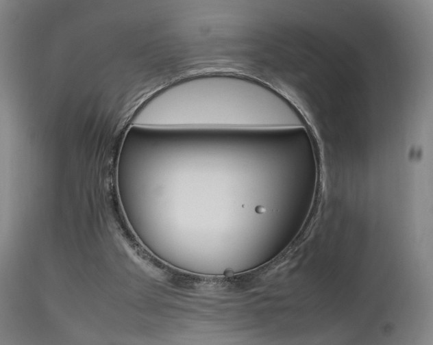 X0000112510105200908171058