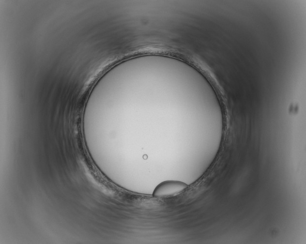X0000112510106200908171058