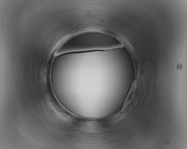 X0000112510108200908171057