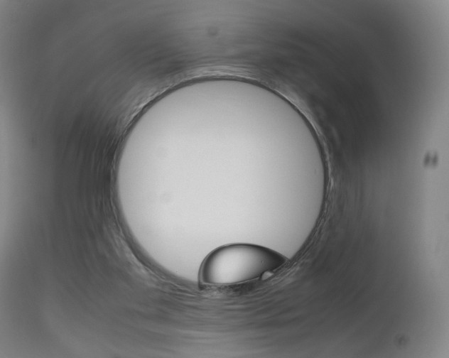 X0000112510109200908171057