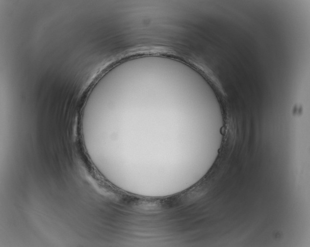 X0000112510110200908171057
