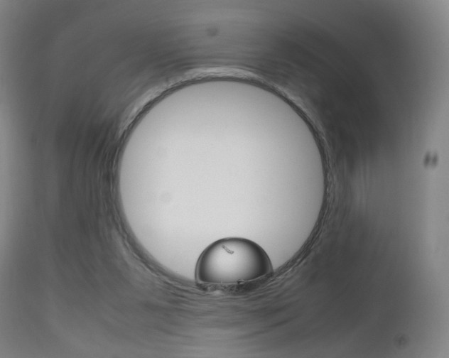 X0000112510111200908171057