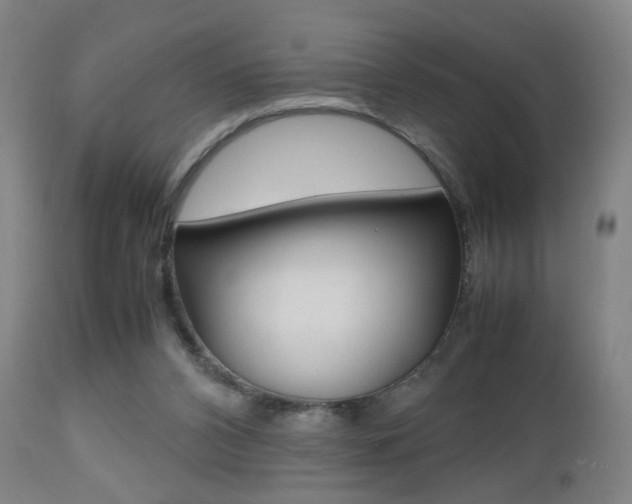 X0000112510112200908171057