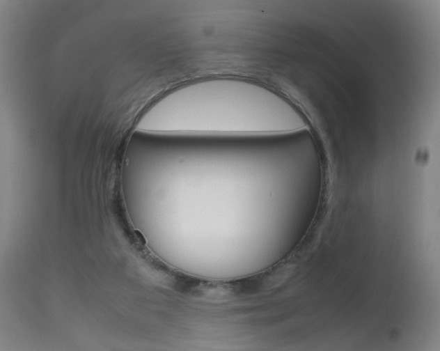 X0000112510113200908171057