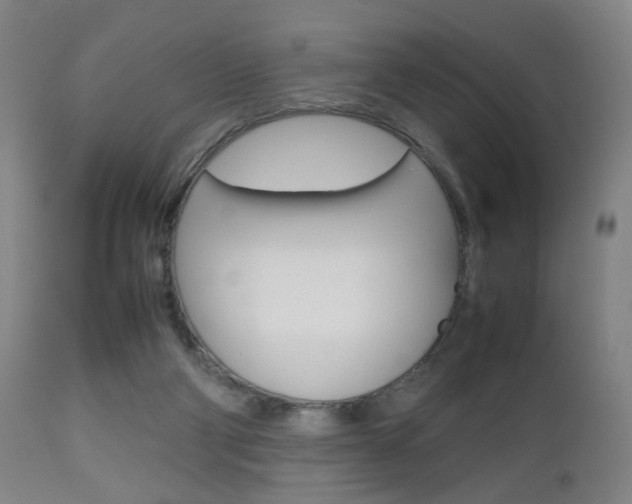 X0000112510114200908171057