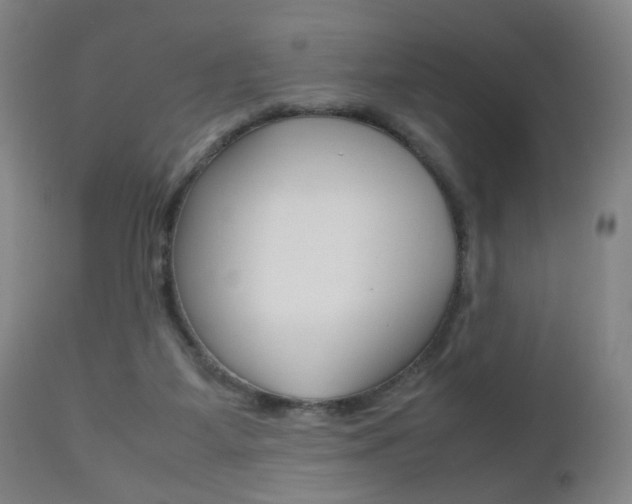 X0000112510115200908171057