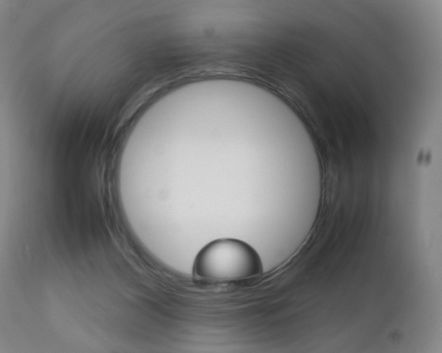X0000112510116200908171057