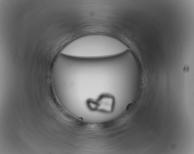 X0000112510117200908171057