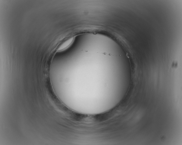 X0000112510119200908171057