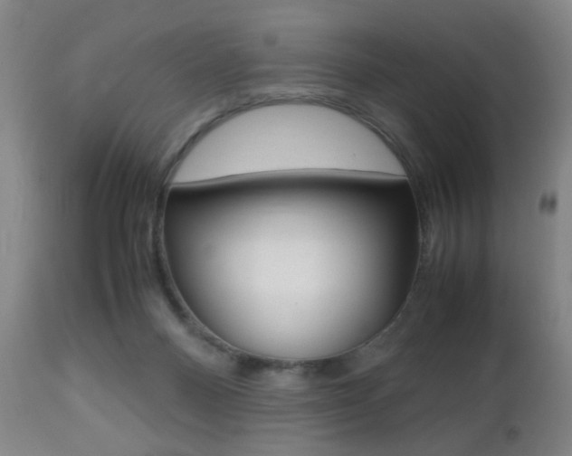 X0000112510120200908171057