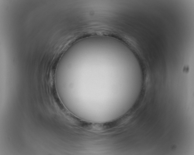 X0000112510121200908171057