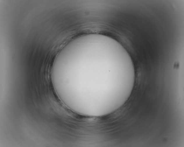 X0000112510122200908171057