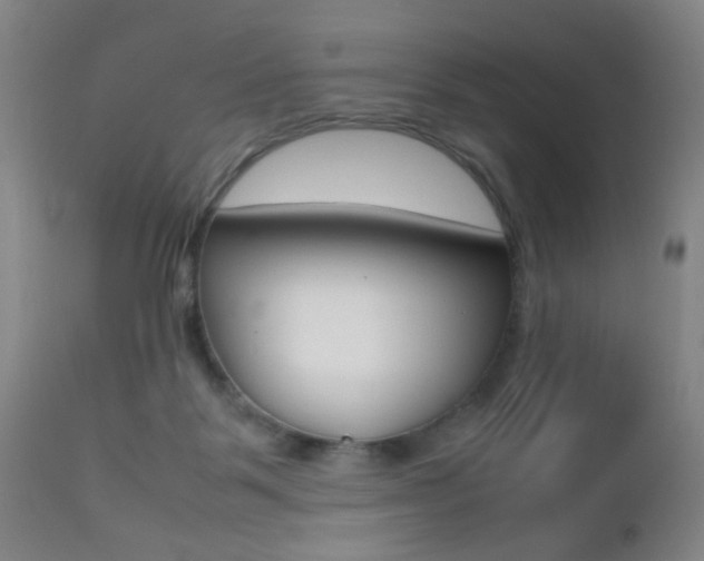 X0000112510123200908171057