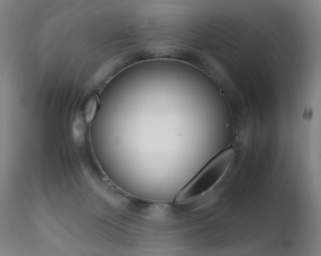 X0000112510124200908171057