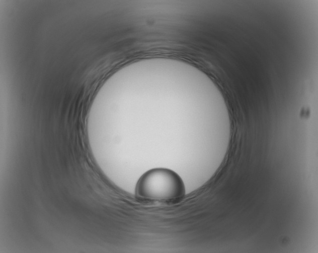 X0000112510125200908171057