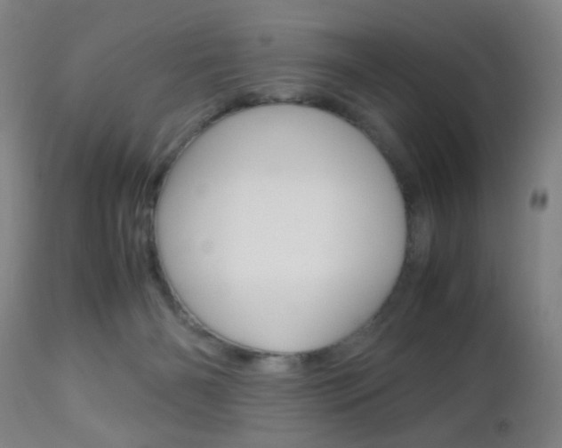 X0000112510126200908171057