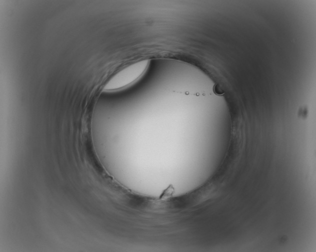 X0000112510127200908171057
