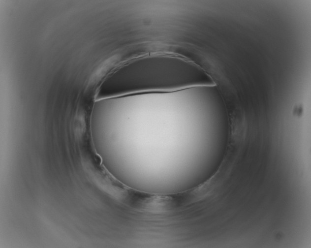 X0000112510128200908171057