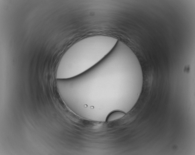 X0000112510130200908171057