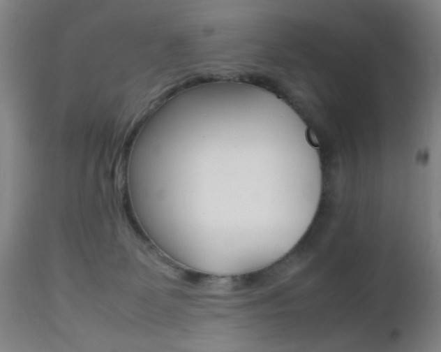 X0000112510131200908171057