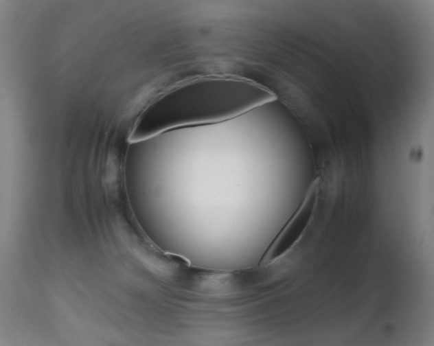 X0000112510132200908171057