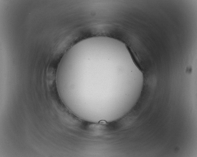 X0000112510133200908171057