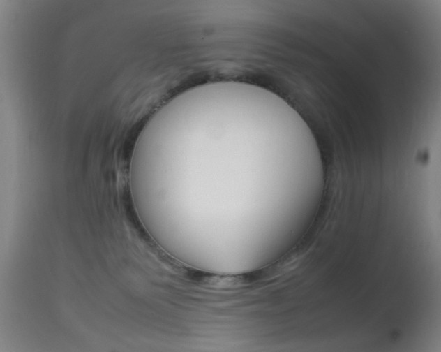 X0000112510135200908171057