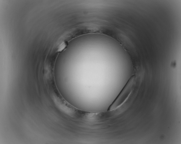 X0000112510136200908171057