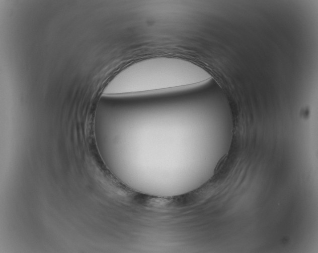 X0000112510139200908171057