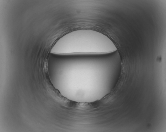 X0000112510141200908171057
