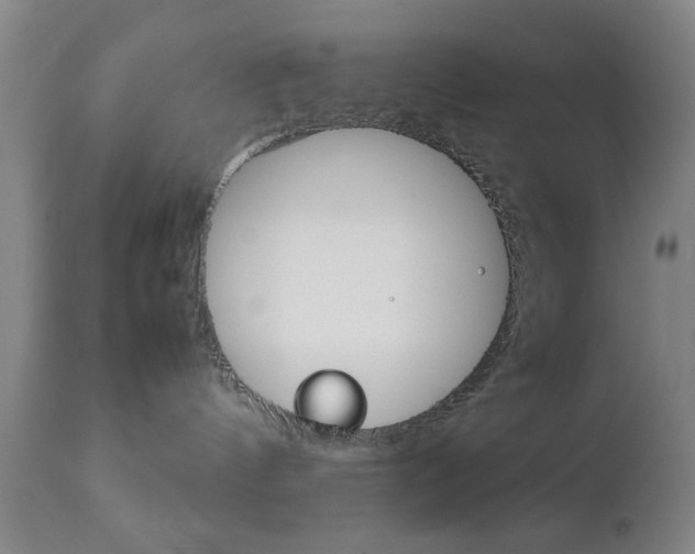 X0000112510144200908171057