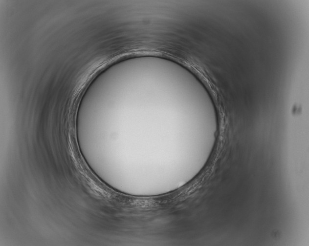 X0000112510145200908171056