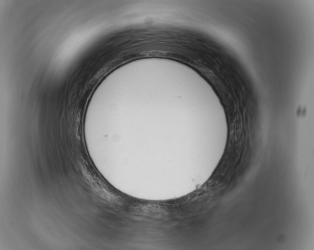 X0000112510146200908171056