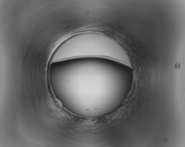 X0000112510148200908171056