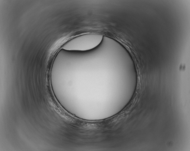 X0000112510149200908171056