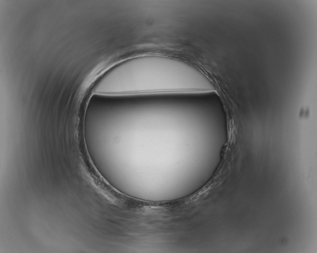 X0000112510150200908171056