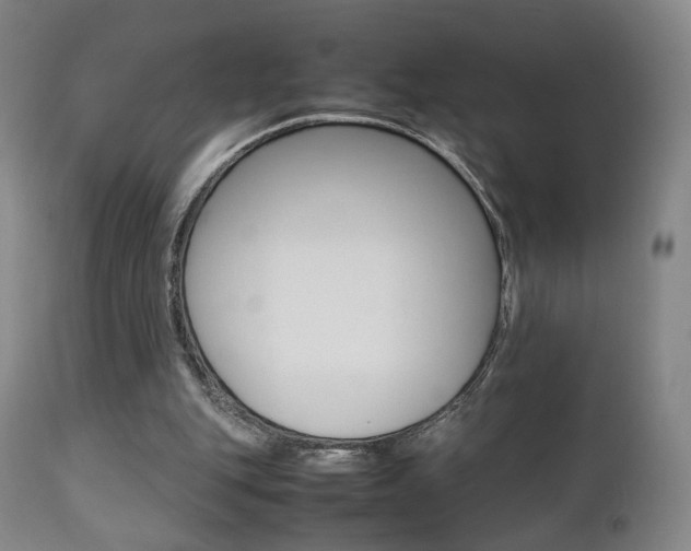 X0000112510151200908171056