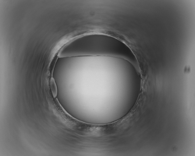 X0000112510152200908171056