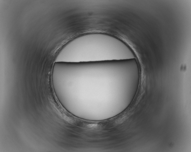 X0000112510153200908171056